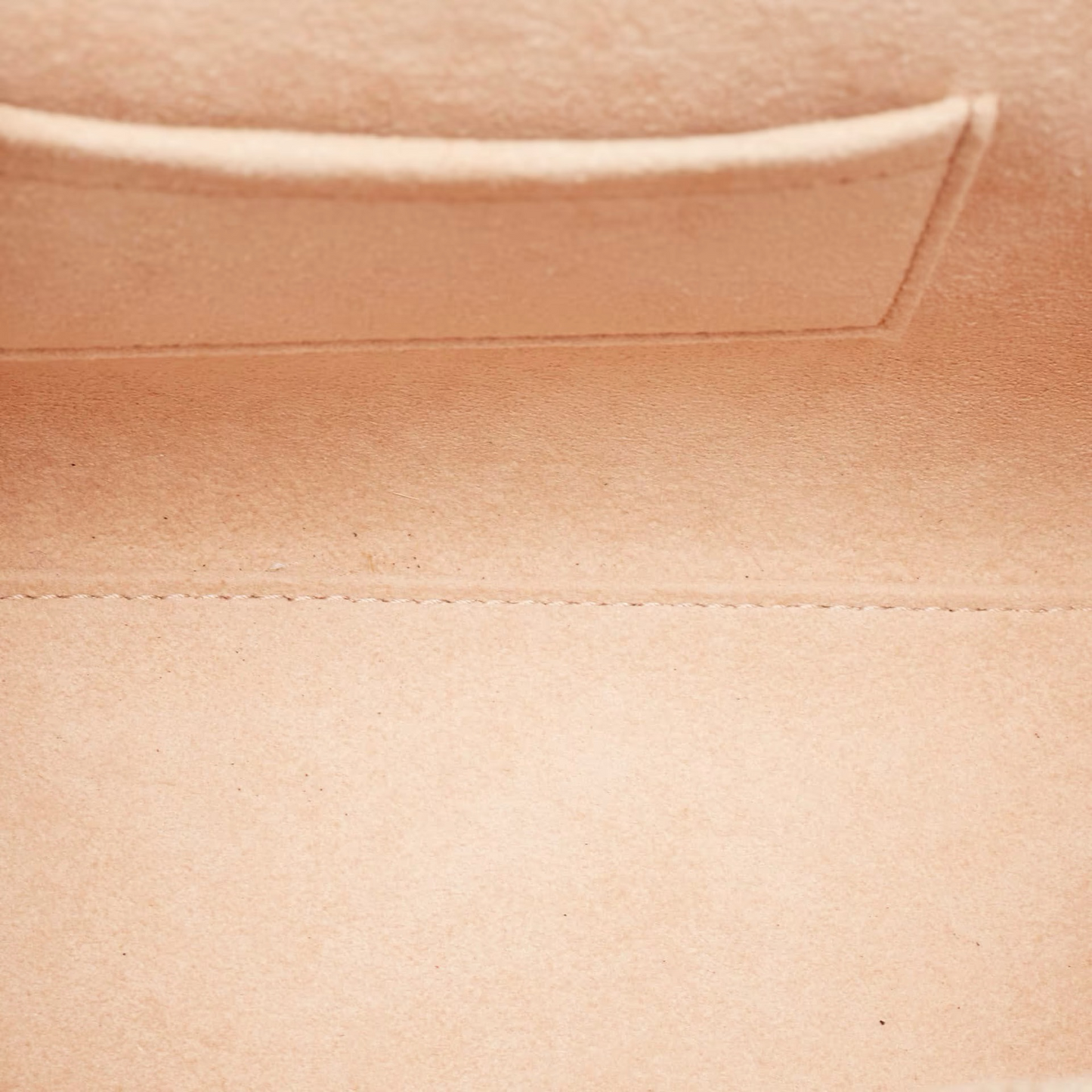 Louis Vuitton Monogram PM Trainon Hangbag -GHW /Brow.