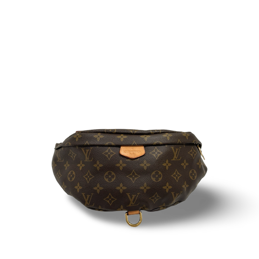 Louis Vuitton Waist Pouch (Brown)