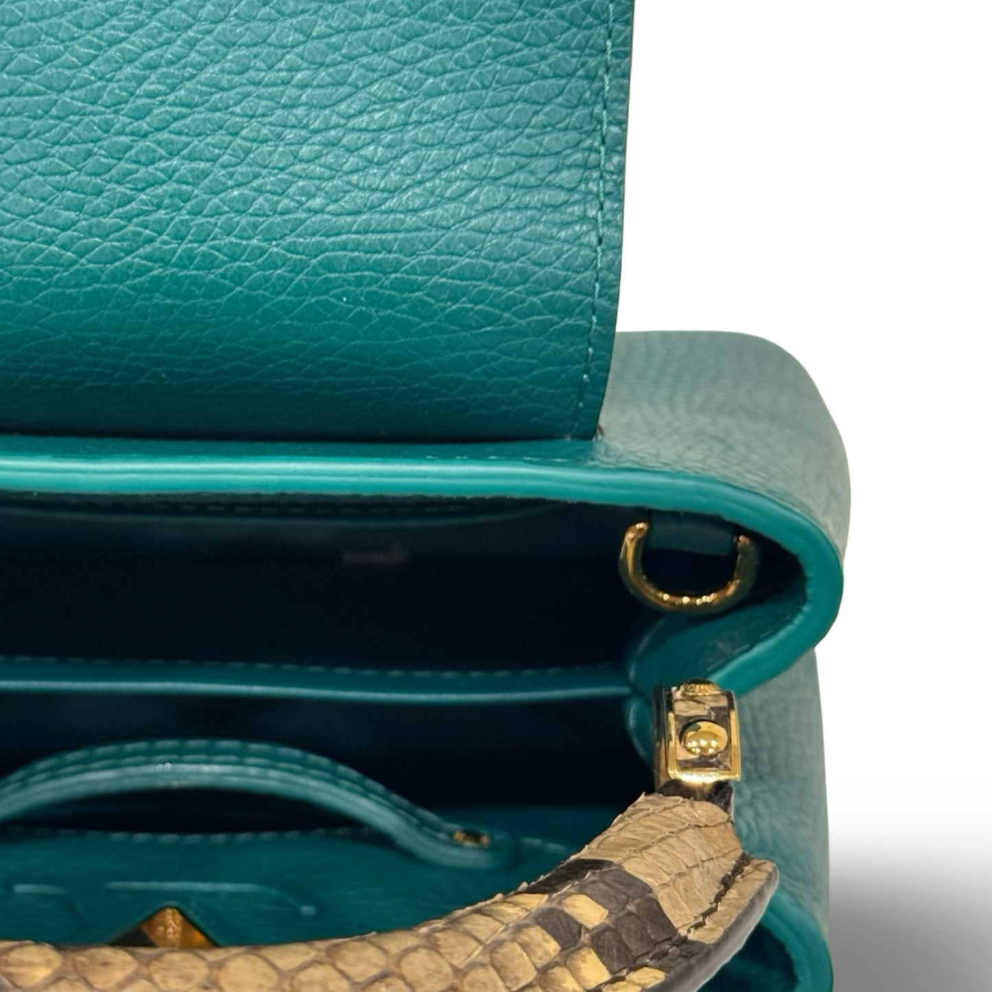 Louis Vuitton Python Mini Capucines Bag - GHW / Green