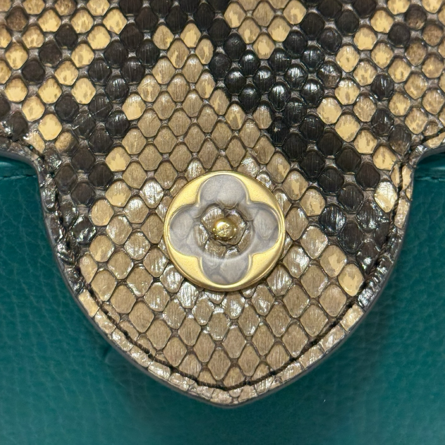 Louis Vuitton Python Mini Capucines Bag - GHW / Green