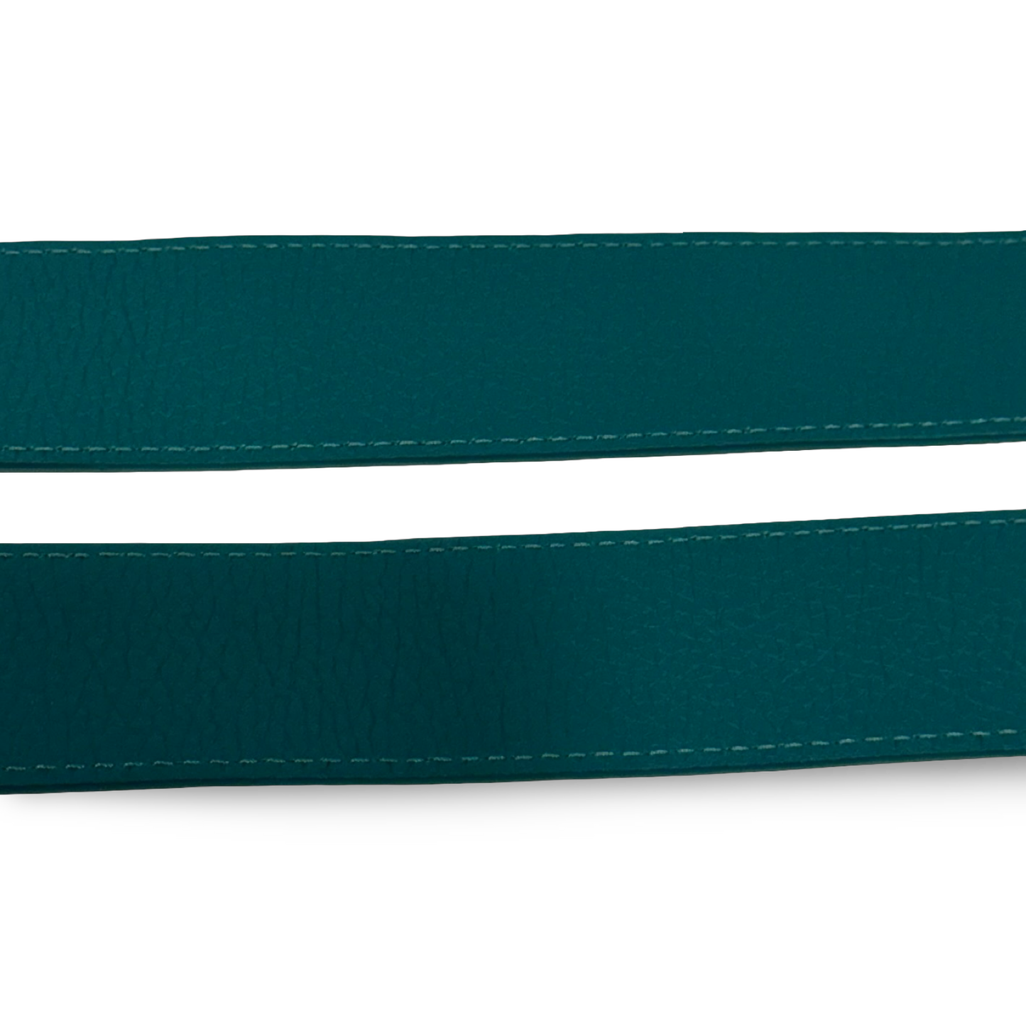 Louis Vuitton Python Mini Capucines Bag - GHW / Green