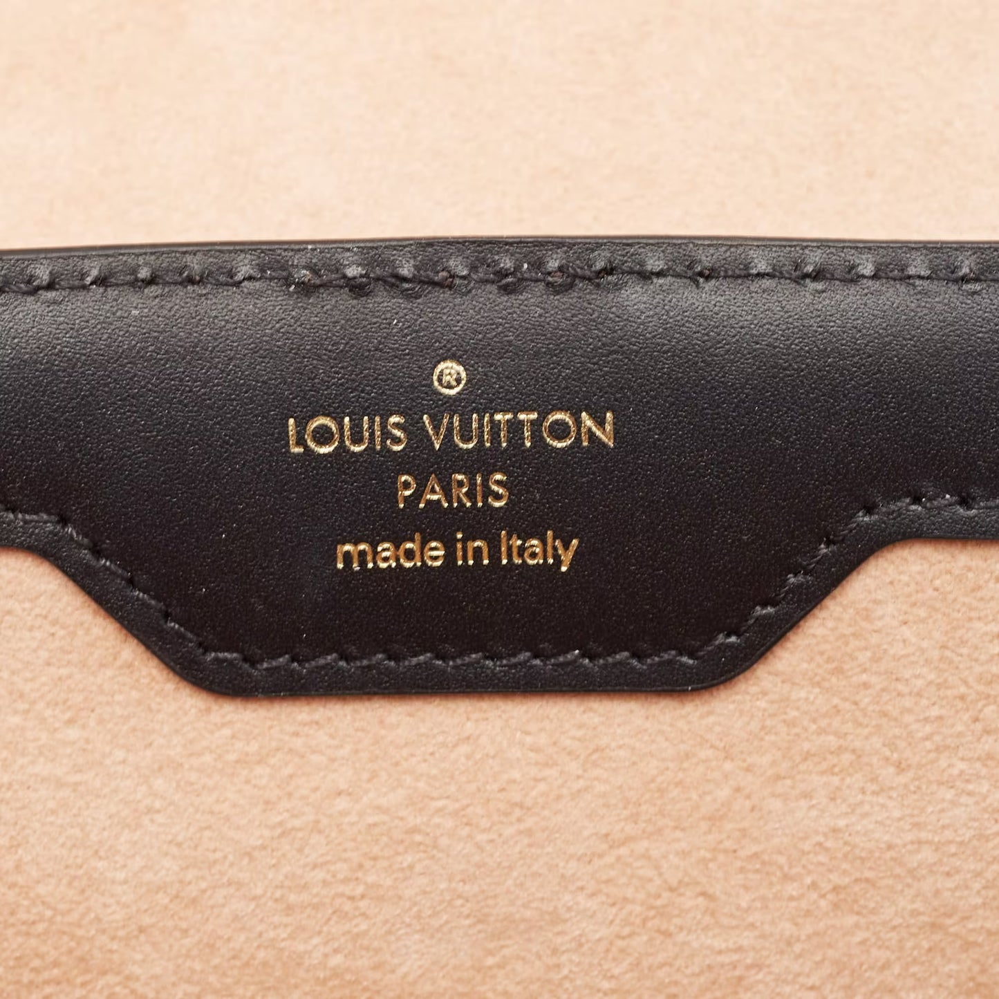 Louis Vuitton Monogram PM Trainon Hangbag -GHW /Brow.