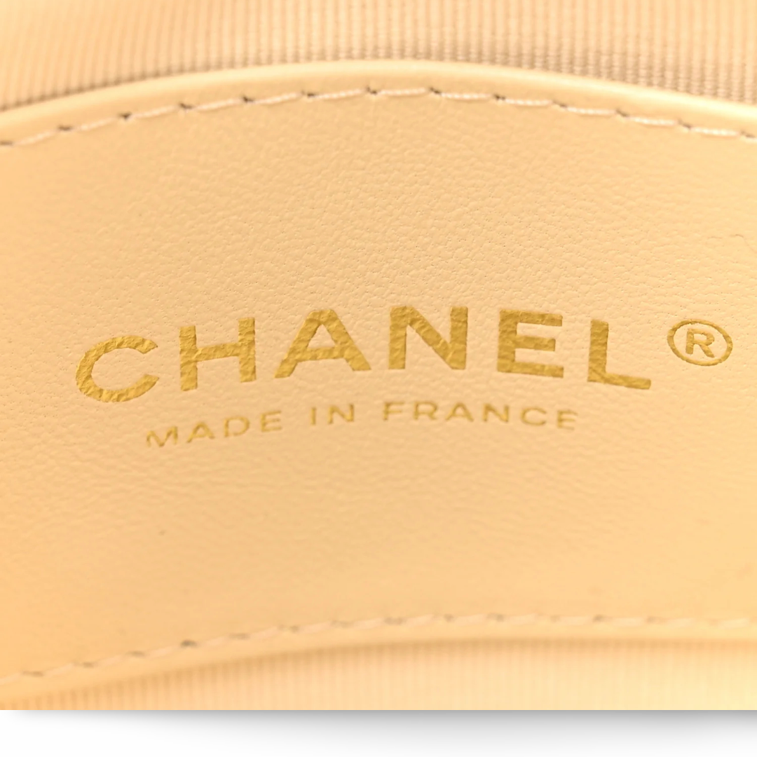 Chanel Quilted Lambskin Piexiglass Tortoise Shell Pouch Bag - Light Beige