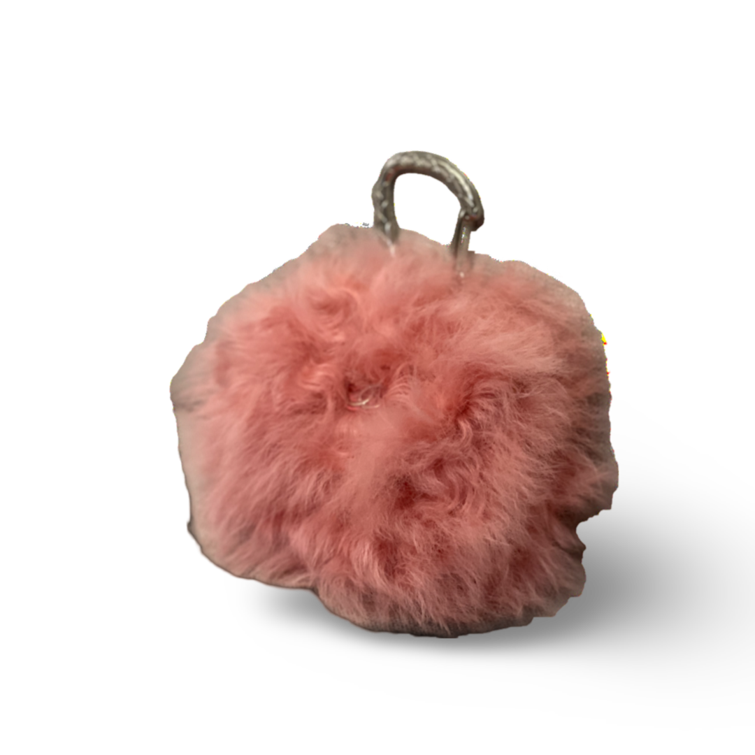 Chanel Shearling Lambskin CC Hook Light Pink Card Holder